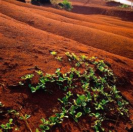 山田裕贵和ZAZY出演《怪物猎人：崛起》曙光广告片