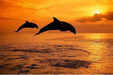 微软暗示Xbox移动游戏商城将于2024年上线